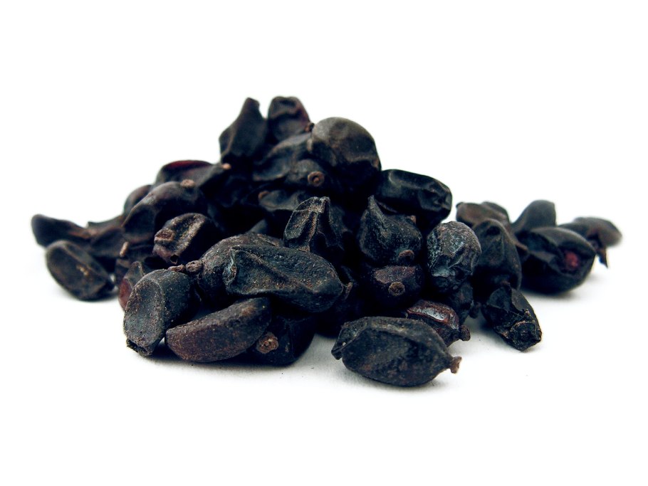 Барбарис обыкновенный побеги