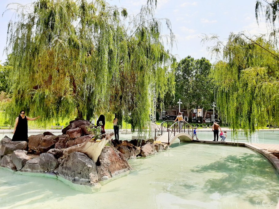 Ива Козья листья