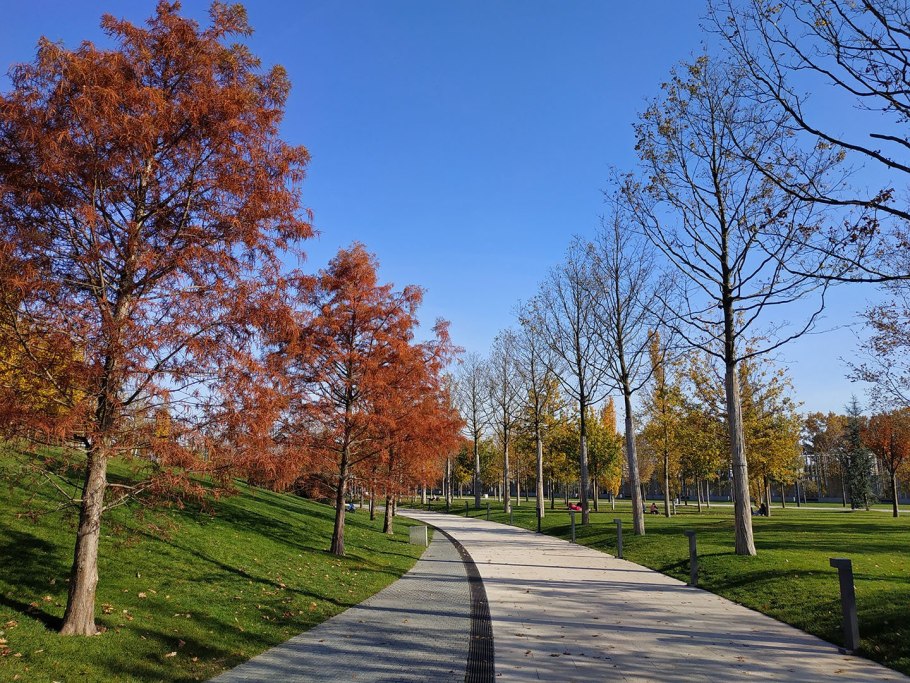 Аллеи парка Шенбрунн