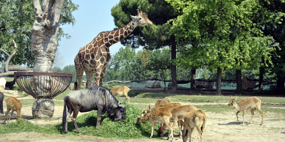 Природа парк