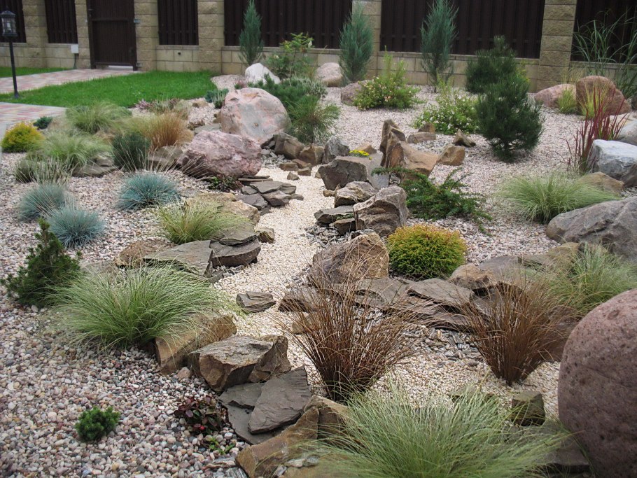 Овсяница фестука