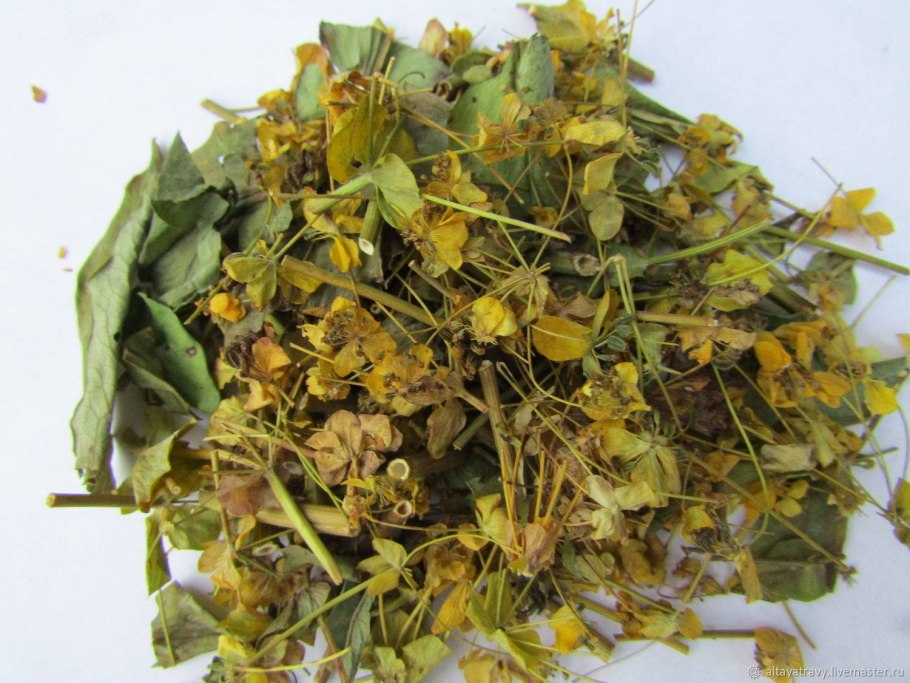 99. Володушка золотистая