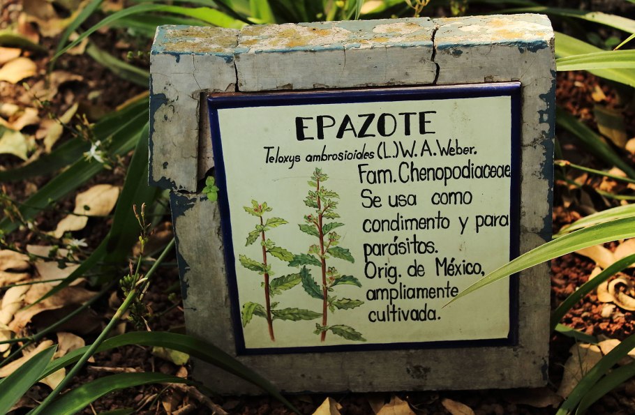 9345 Green stuff World набор натуральных деревьев / Seafoam Trees Mix