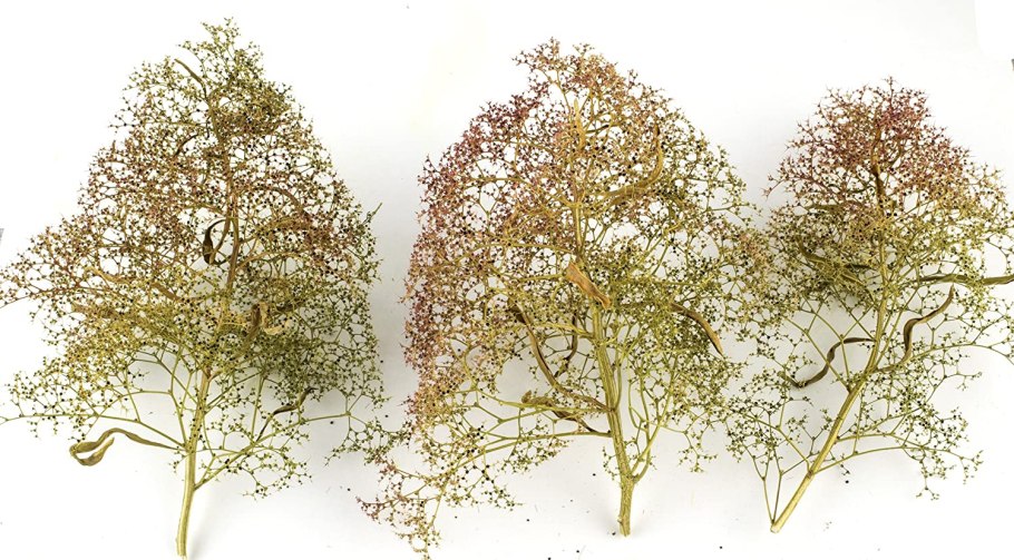 Марь цельнолистная