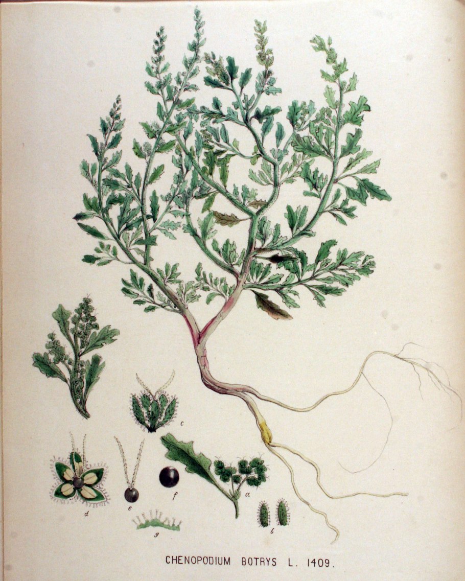 Серо голубой градиент