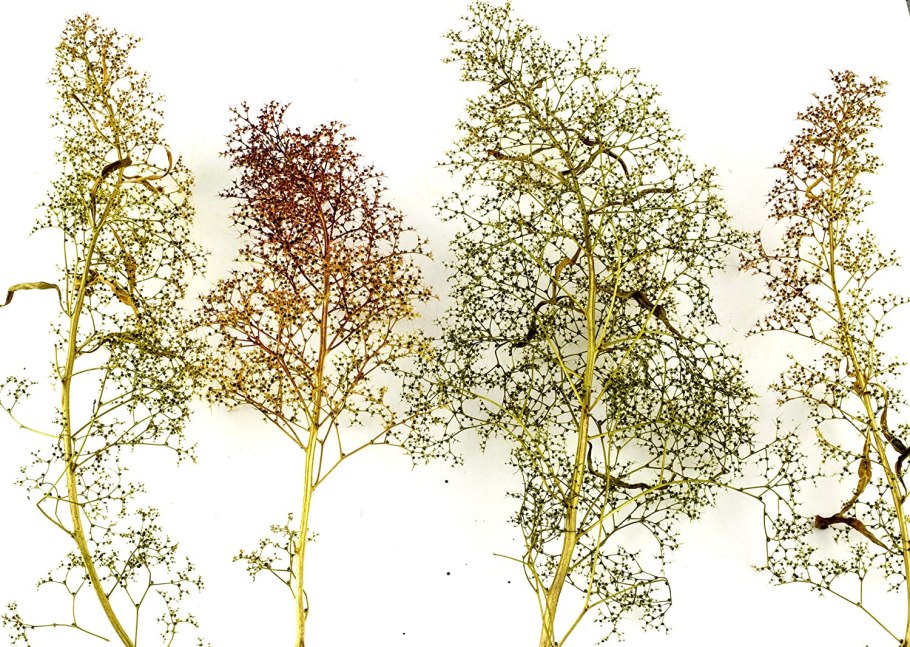 Светло салатовый цвет