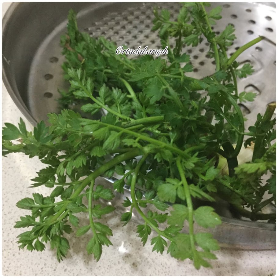 Адриана Чечик Gabriella Paltrova