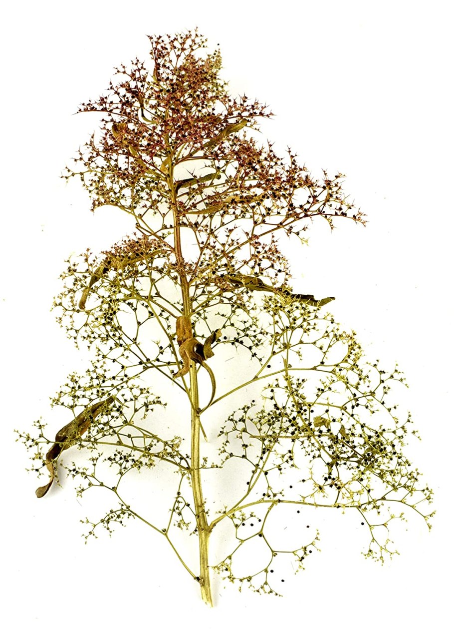 PV контроллер заряда ls1024rp