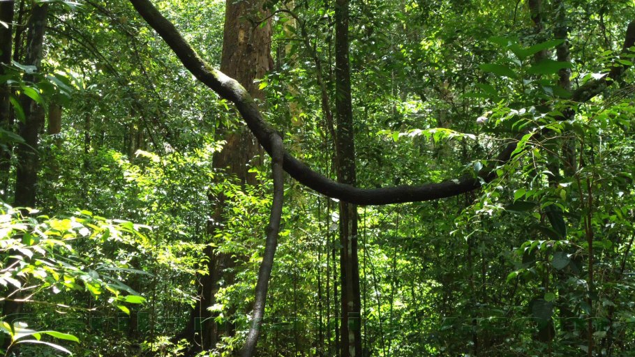 Холодильник Toshiba gr-rt565rs(LS)