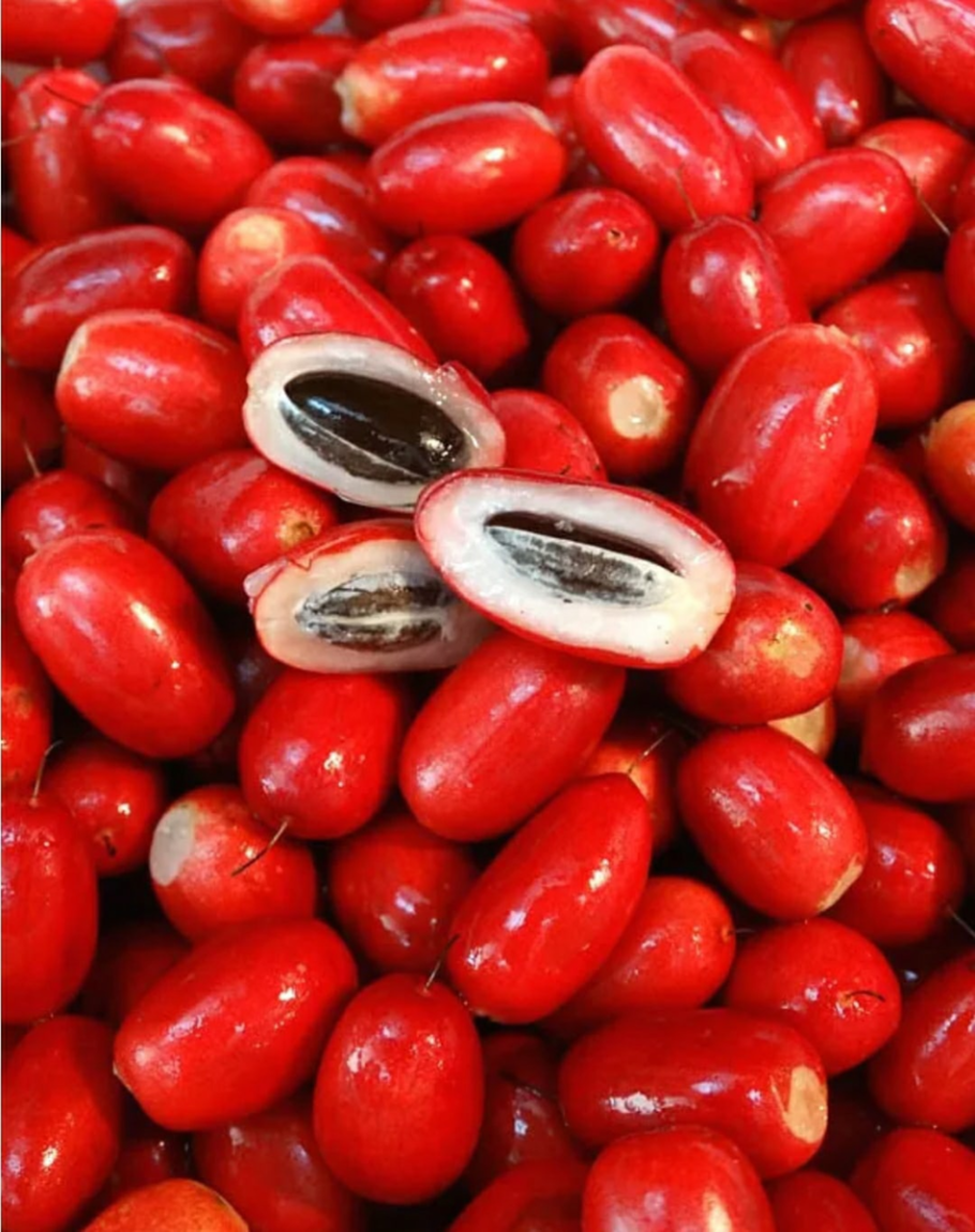 Путерия сладковатая