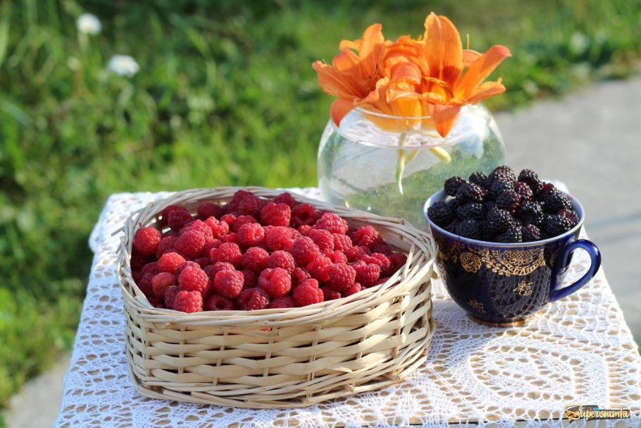 Доброе летнее утро