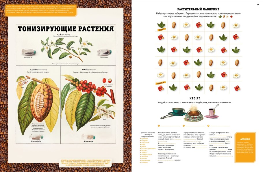 Родина кактуса