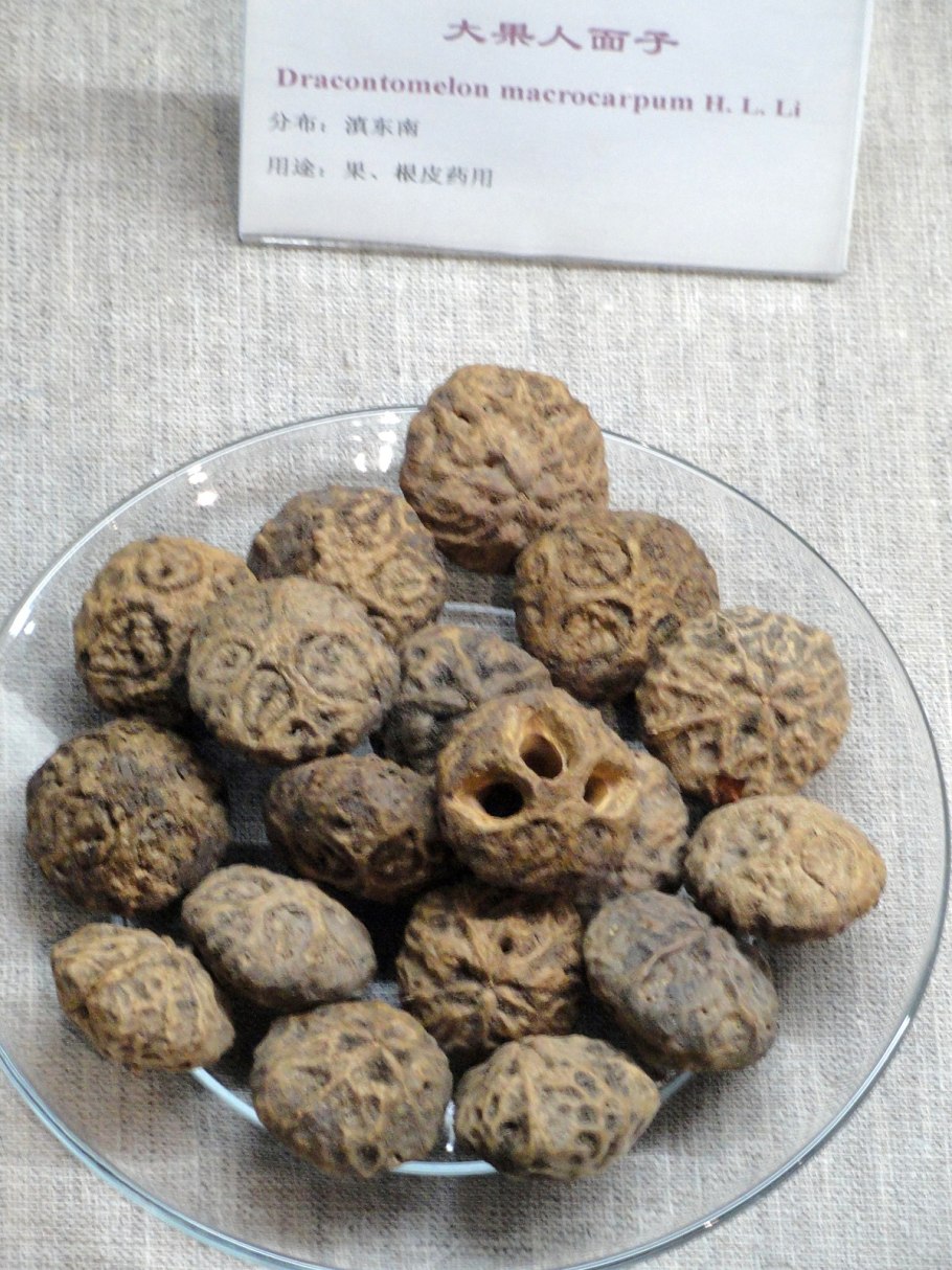 Водоросли и аминокислоты