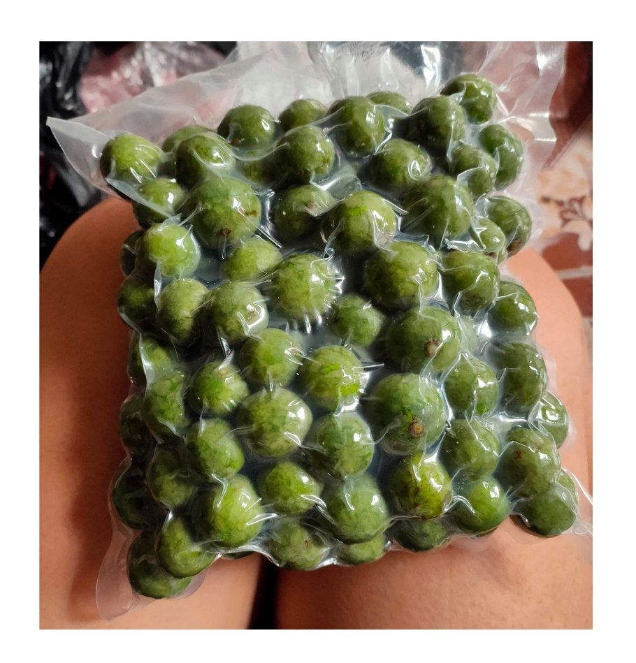 Маклюра адамово