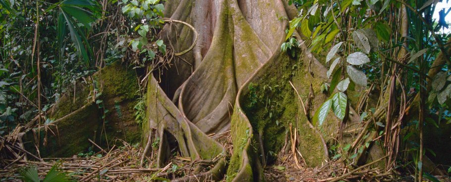 Холодильник Toshiba gr-rt565rs(LS)