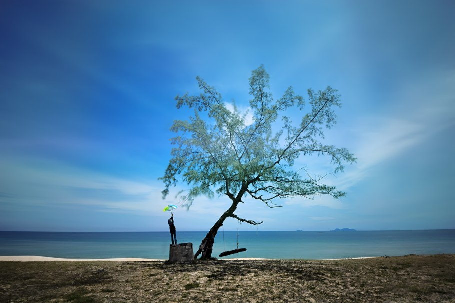 Дерево на берегу моря