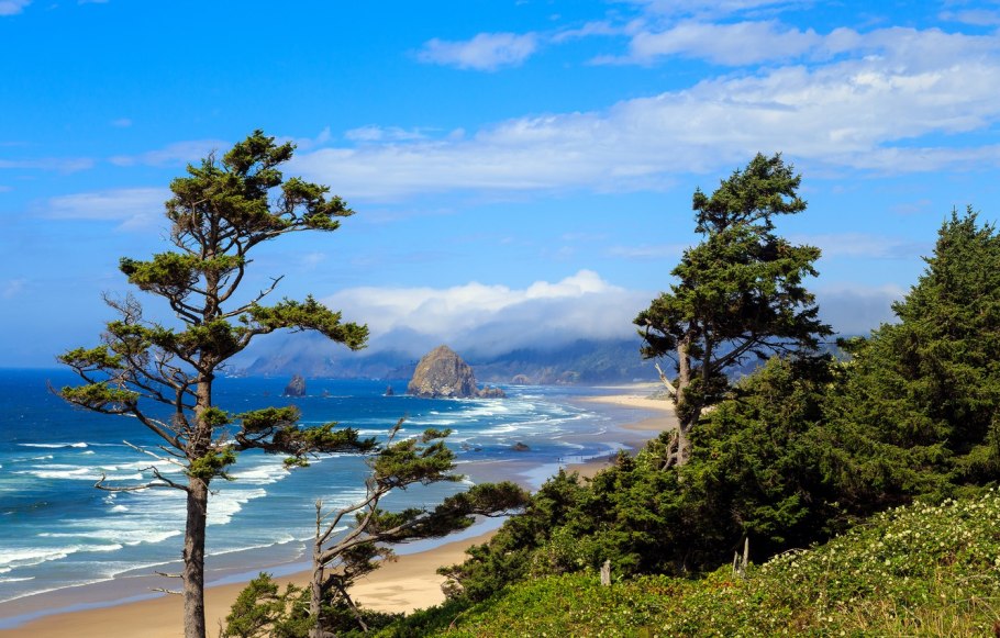 Тихоокеанское побережье Орегон дубы