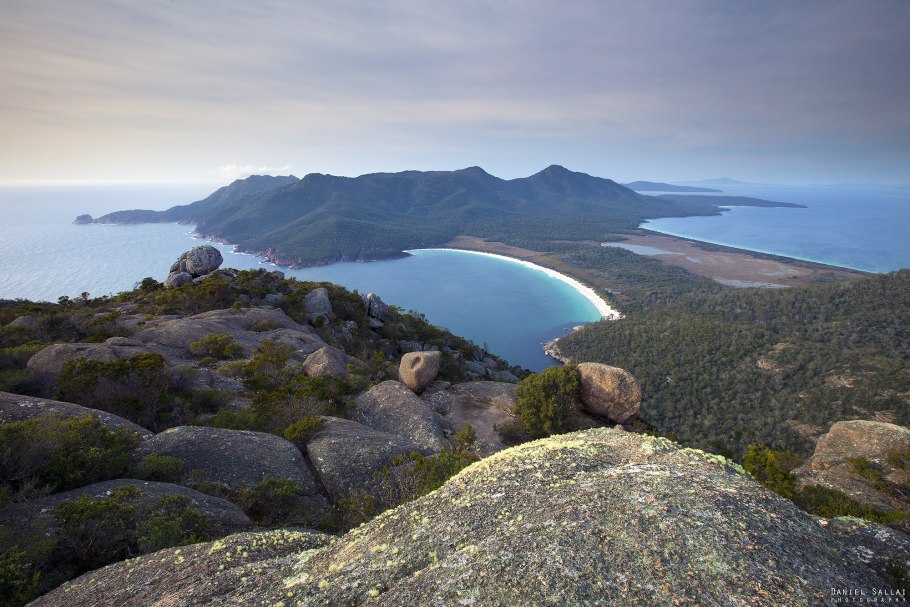 Светло салатовый цвет