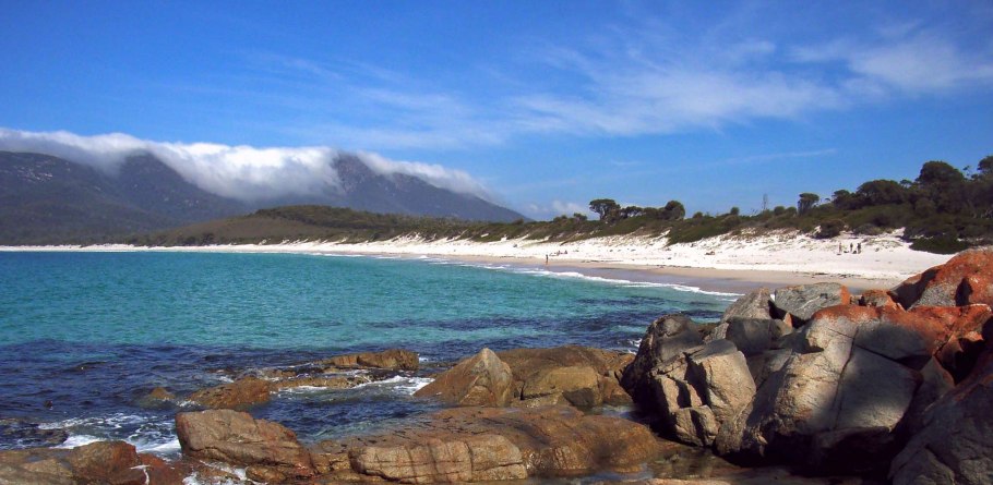 Вируссветрянки под микроскопом