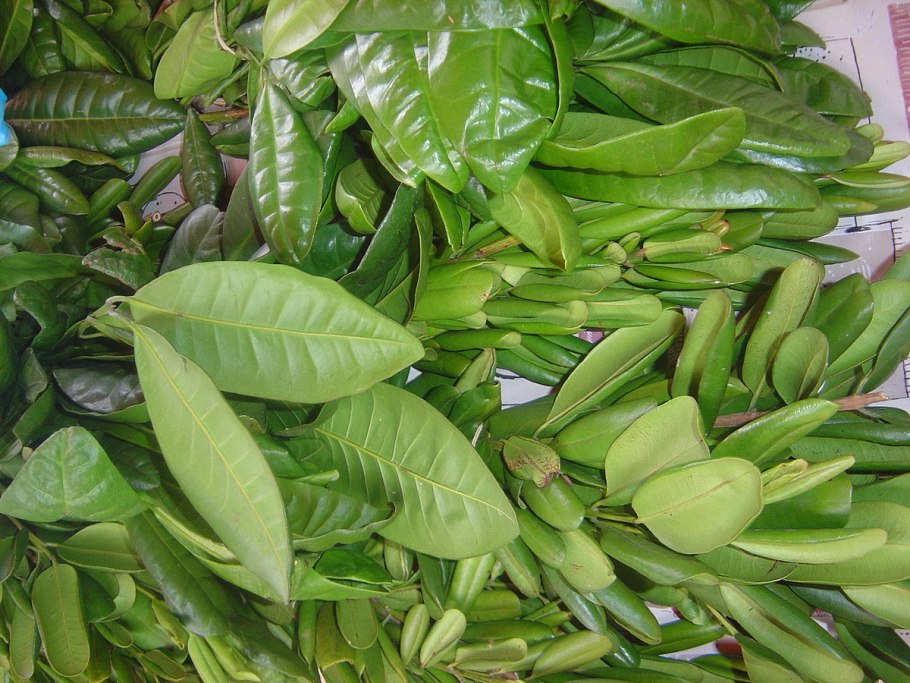 Малагета специя