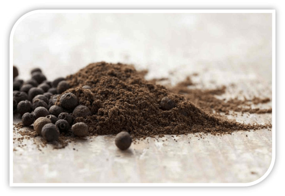 Yeni Bahar приправа