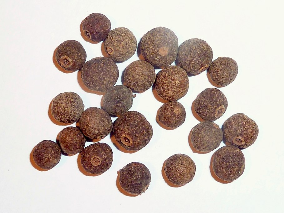 Перец черный горошек растение