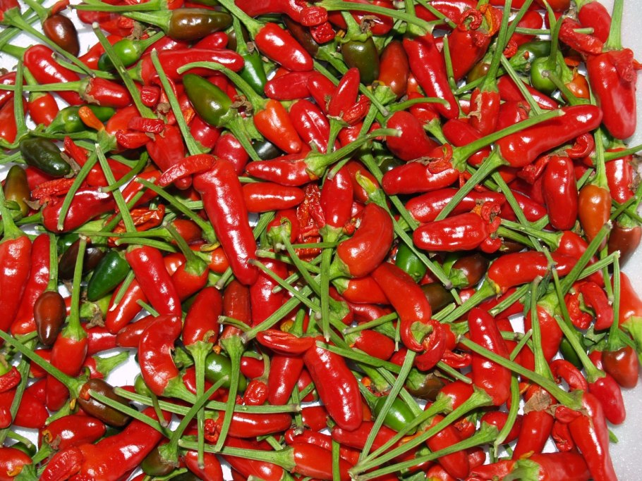 Сорта перцев Чили