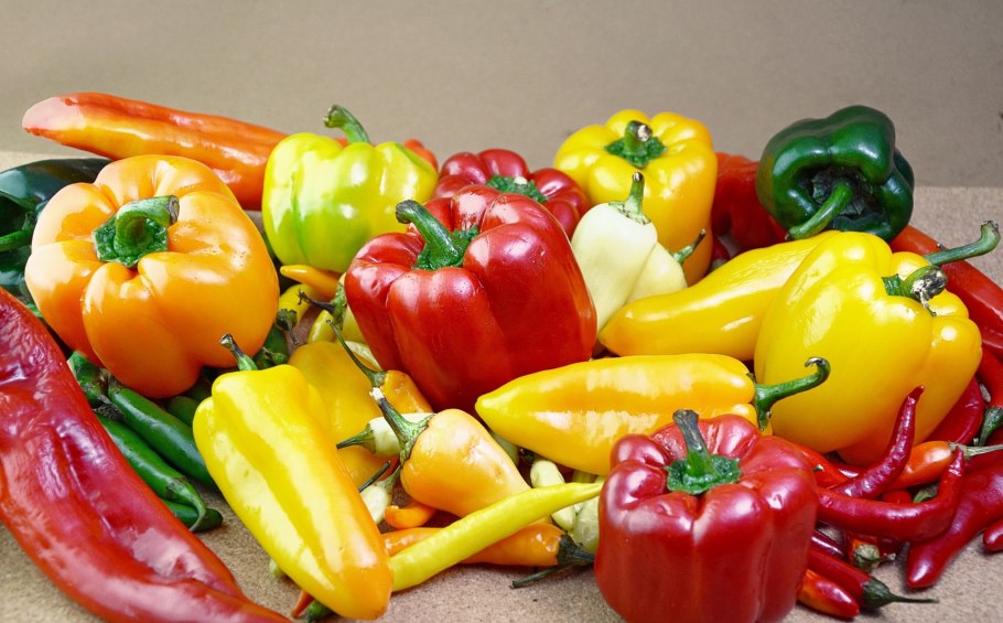 Перец Магретта ф1