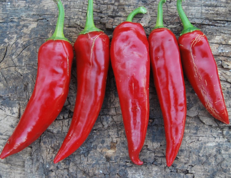 Перец сафьян f1