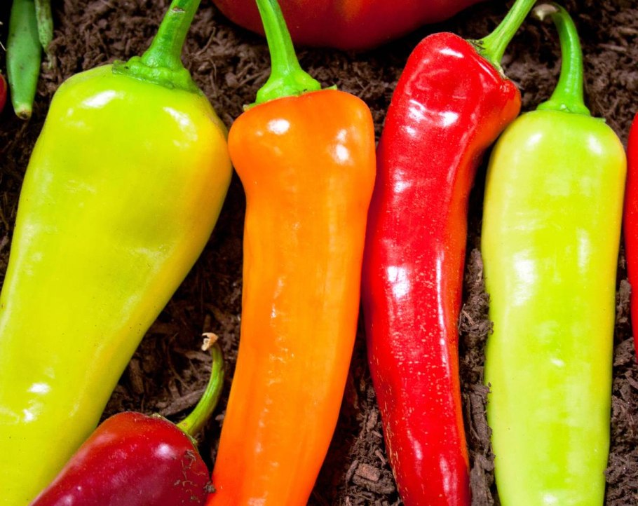 Горький перец Киликия