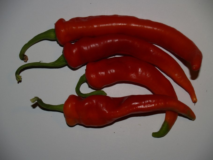 Перец Джемелли