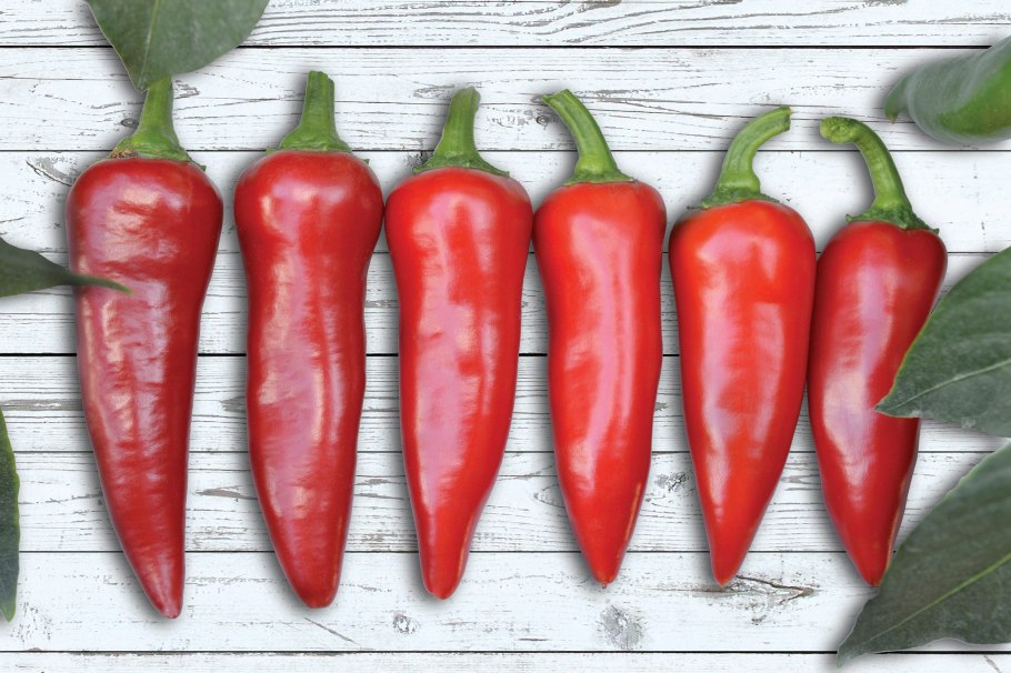 Перец Бикиньо красный