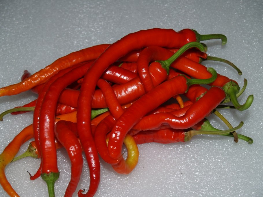 Перец острый Рокита