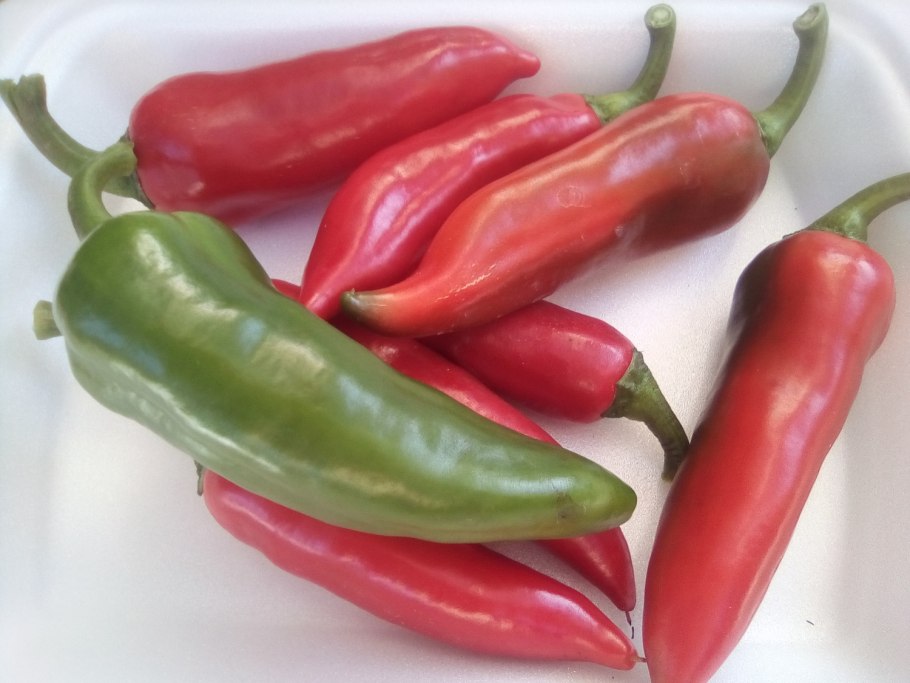 Перец среднеострый сорта