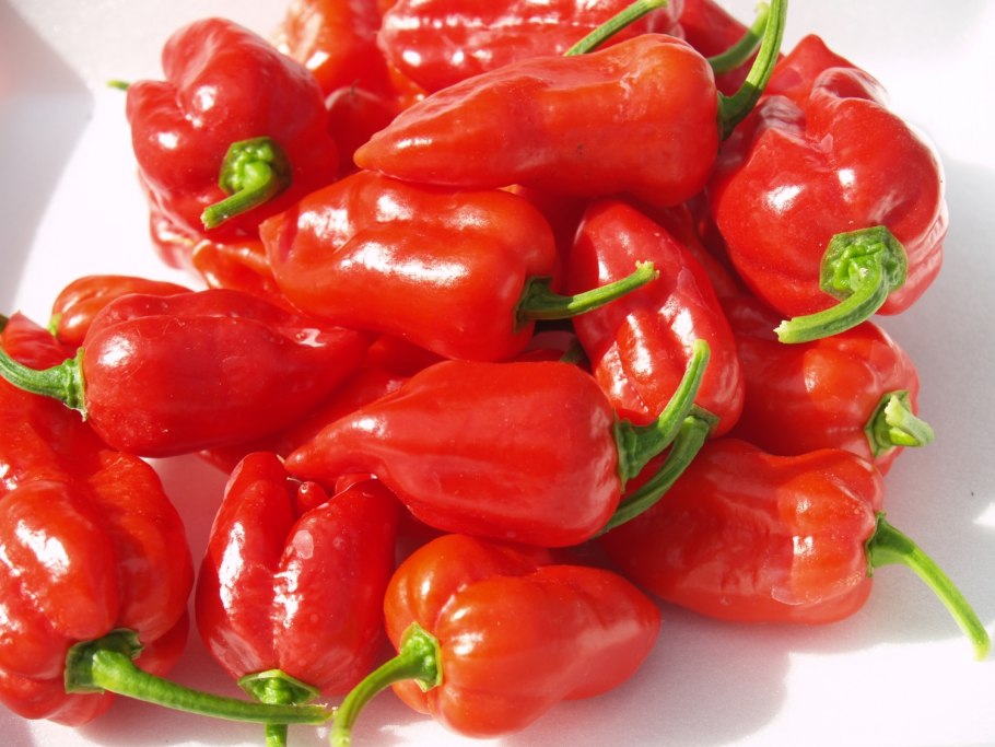 Bhut Jolokia перец