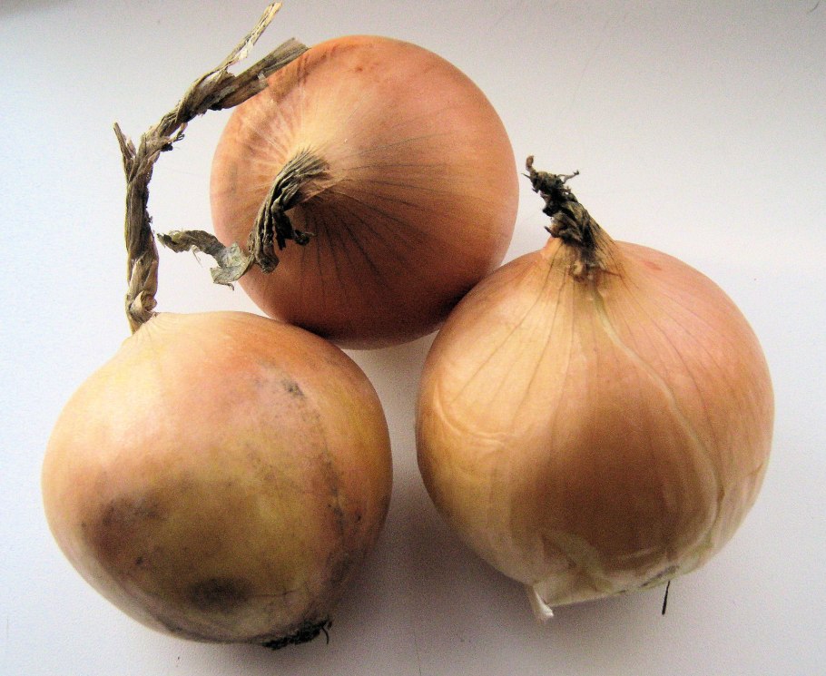 Лук слизун батун