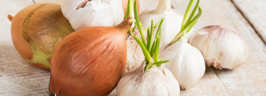 Анзур (лук горный афлатунский)