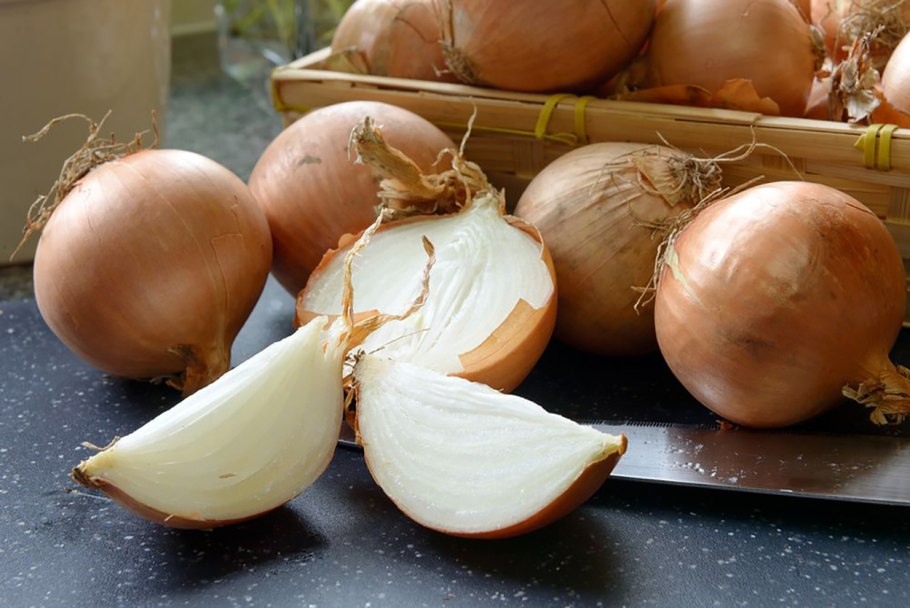 Allium ledebourianum