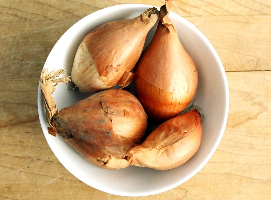 Лук Эксибишен луковая Муха