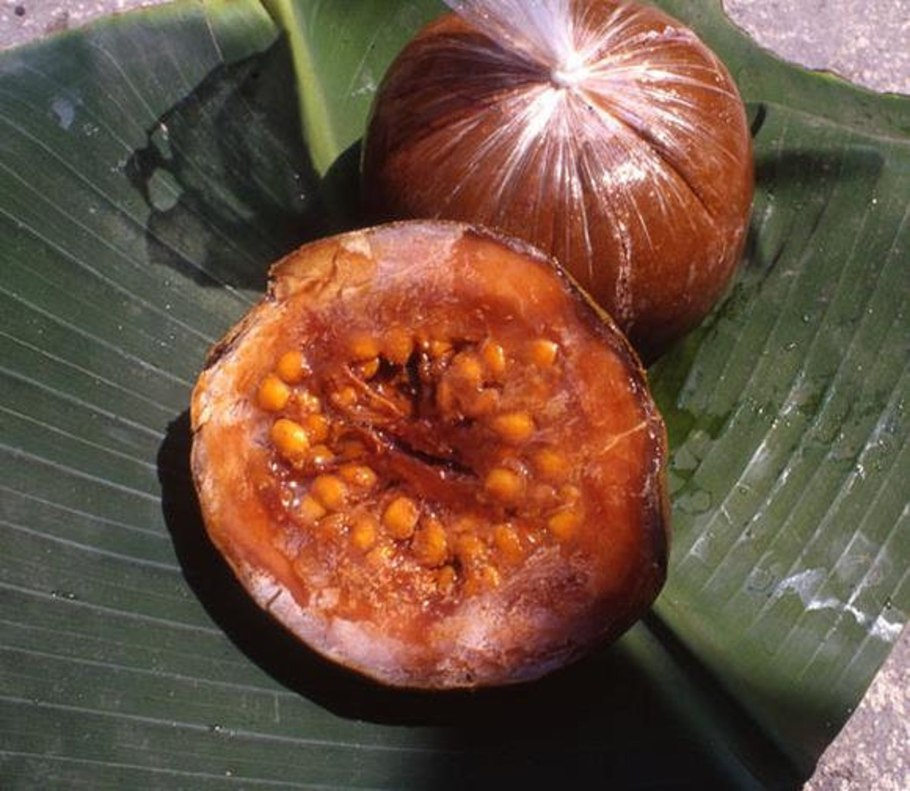 Ипекакуана (рвотный корень).