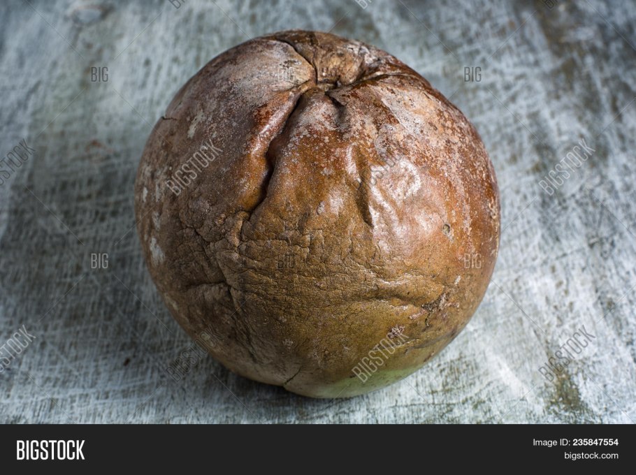 Лукулия растение