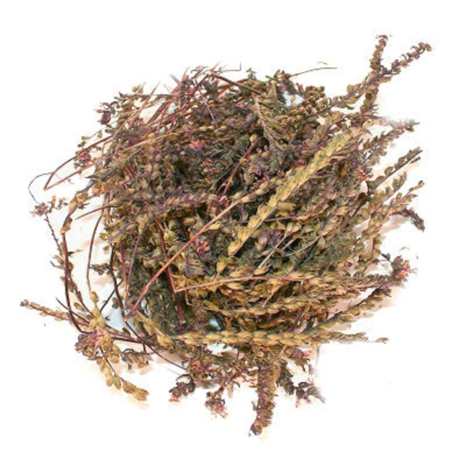 Голубая змеиная трава