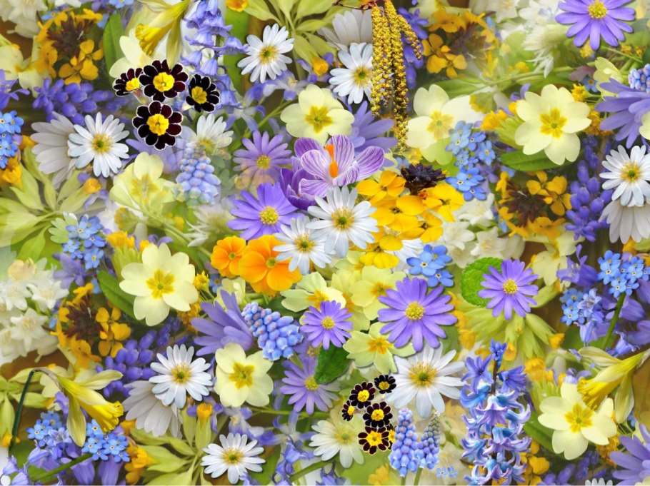 Цветочный фон