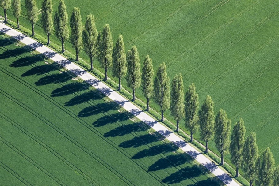 Фрунзенско-Каралыкская Лесная полоса