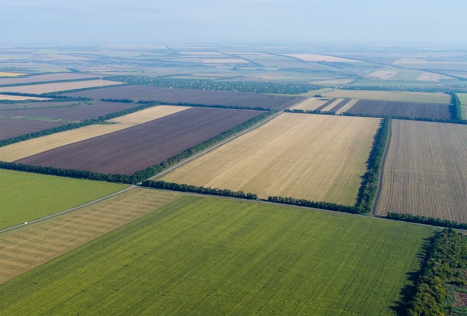 Кубанское водохранилище лесополоса