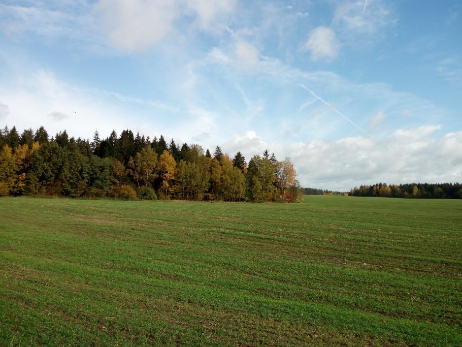 Лесополоса Генко