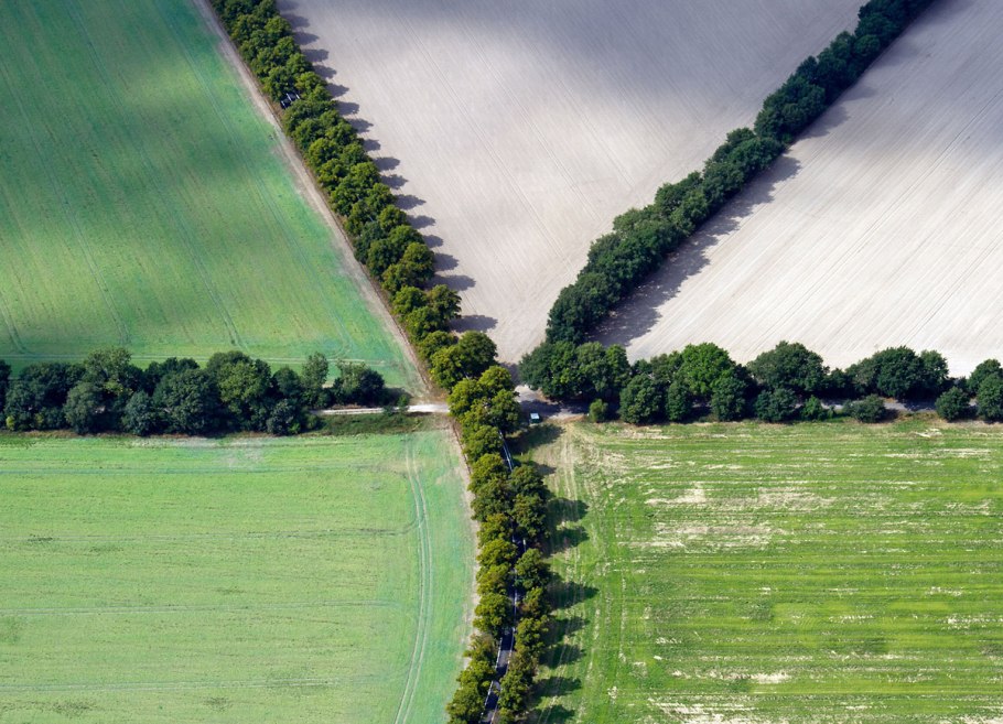 Лесополосы в Молдове