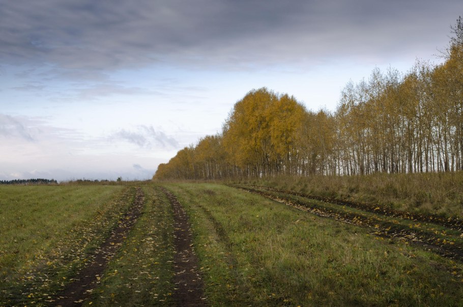 Таврический район Омской области природа