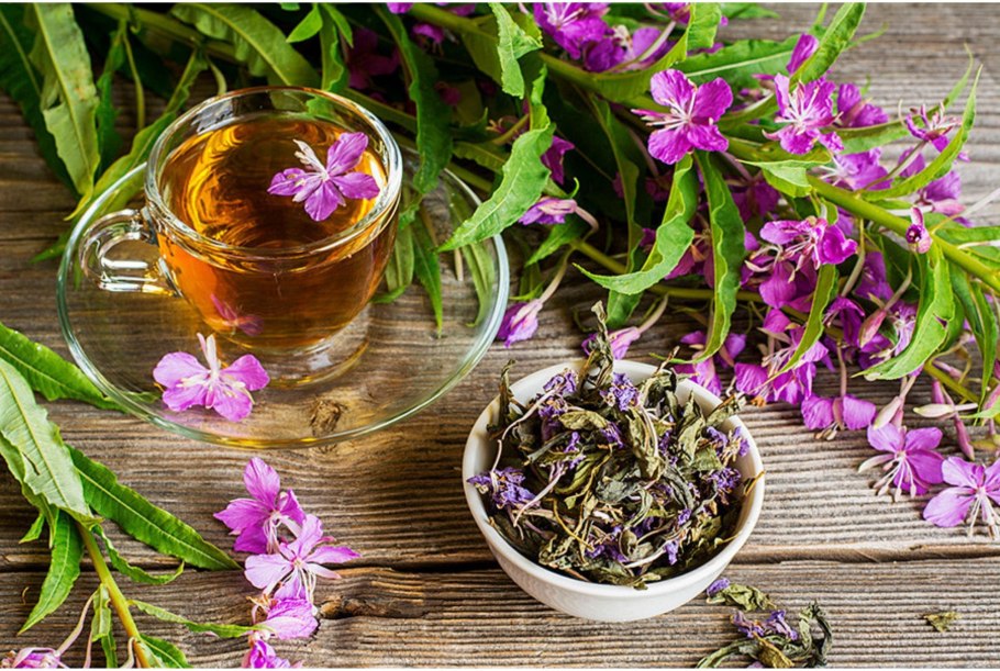 Иван чай в Приморье