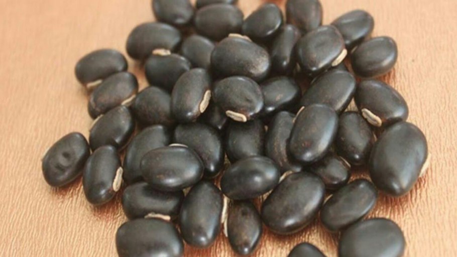 Мукуна жгучая семена